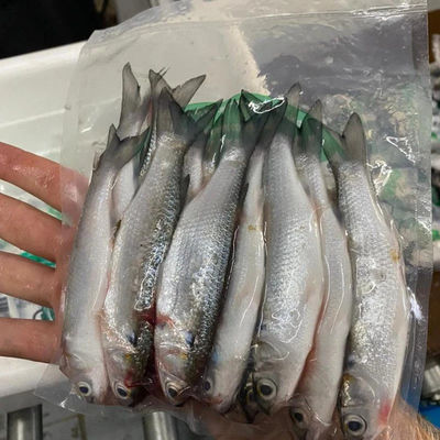 7laag co-extrudeerde middelgrote barriere krimpfilm tegen mist voor voedselverpakkingen